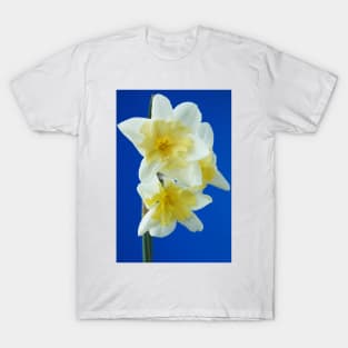 Narcissus  &#39;Prom Dance&#39;  Daffodil T-Shirt